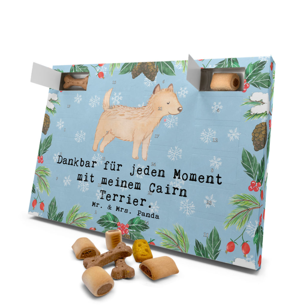 Hunde Adventskalender Cairn Terrier Moment Hunde Adventskalender, Weihnachtskalender, Kalender, Weihnachten, Adventskalender für Hunde, Hund, Hunderasse, Rassehund, Hundebesitzer, Geschenk, Tierfreund, Schenken, Welpe, Cairn Terrier