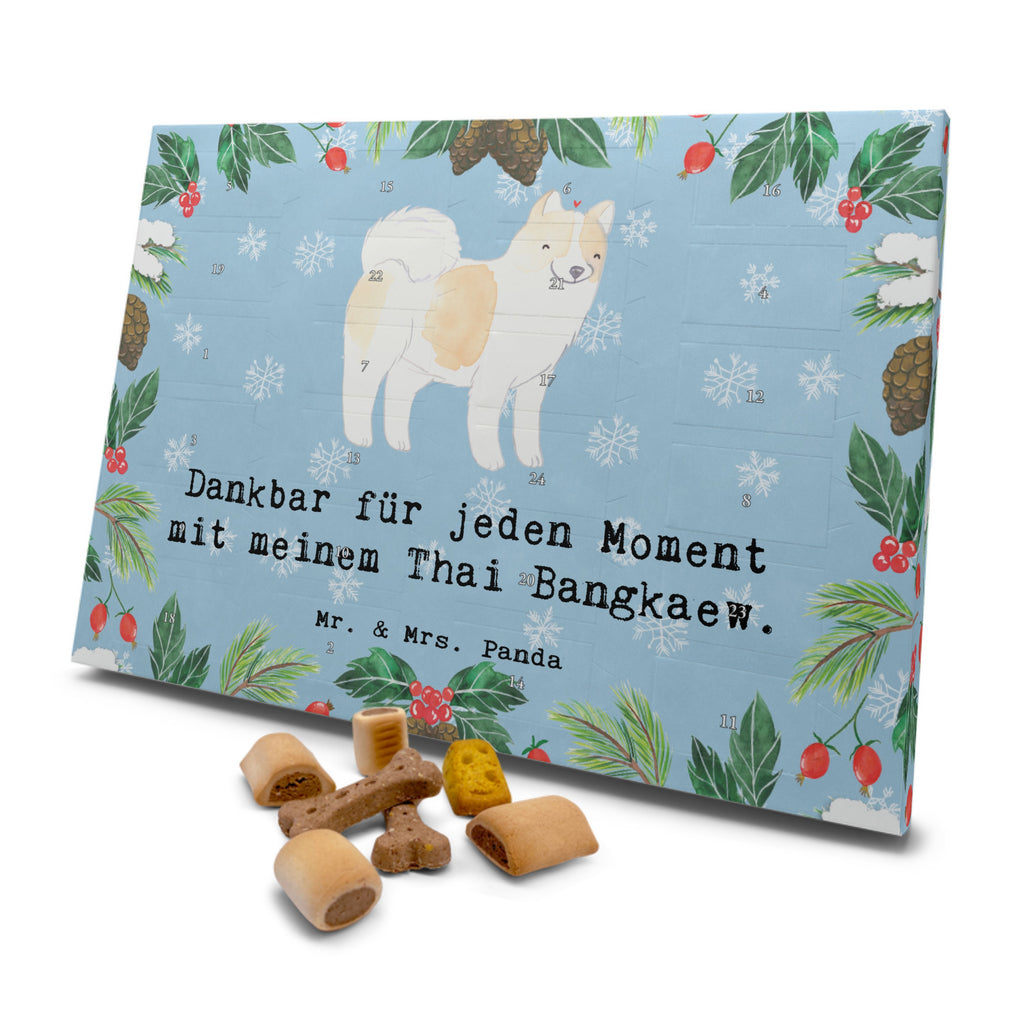 Hunde Adventskalender Thai Bangkaew Moment Hunde Adventskalender, Weihnachtskalender, Kalender, Weihnachten, Adventskalender für Hunde, Hund, Hunderasse, Rassehund, Hundebesitzer, Geschenk, Tierfreund, Schenken, Welpe, Thai Bangkaew Dog