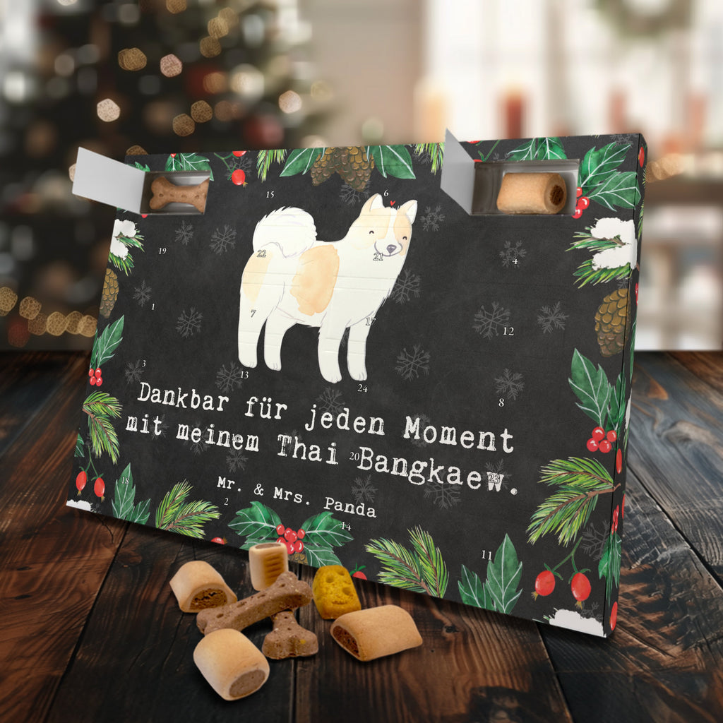 Hunde Adventskalender Thai Bangkaew Moment Hunde Adventskalender, Weihnachtskalender, Kalender, Weihnachten, Adventskalender für Hunde, Hund, Hunderasse, Rassehund, Hundebesitzer, Geschenk, Tierfreund, Schenken, Welpe, Thai Bangkaew Dog