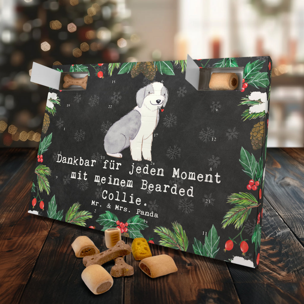 Hunde Adventskalender Bearded Collie Moment Hunde Adventskalender, Weihnachtskalender, Kalender, Weihnachten, Adventskalender für Hunde, Hund, Hunderasse, Rassehund, Hundebesitzer, Geschenk, Tierfreund, Schenken, Welpe, Bearded Collie, britischer Hütehund