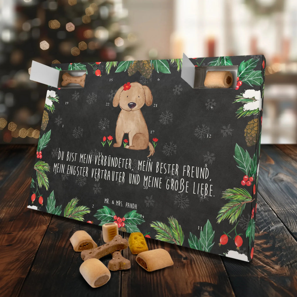 Hunde Adventskalender Hund Dame Hunde Adventskalender, Weihnachtskalender, Kalender, Weihnachten, Adventskalender für Hunde, Hund, Hundemotiv, Haustier, Hunderasse, Tierliebhaber, Hundebesitzer, Sprüche, Hunde, Hundeliebe, Hundeglück, Liebe, Frauchen