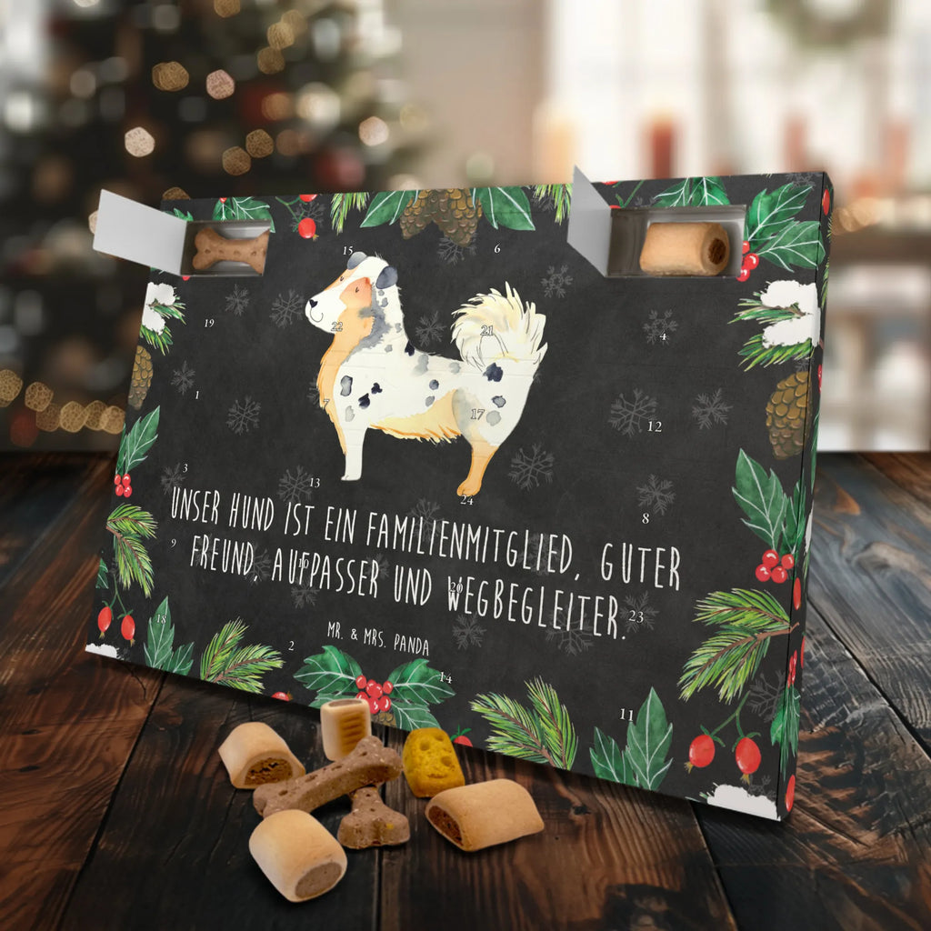 Hunde Adventskalender Hund Australien Shepherd Hunde Adventskalender, Weihnachtskalender, Kalender, Weihnachten, Adventskalender für Hunde, Hund, Hundemotiv, Haustier, Hunderasse, Tierliebhaber, Hundebesitzer, Sprüche, Australien Shepherd, Shepherd, Hundeliebe, Familienhund, Spruch