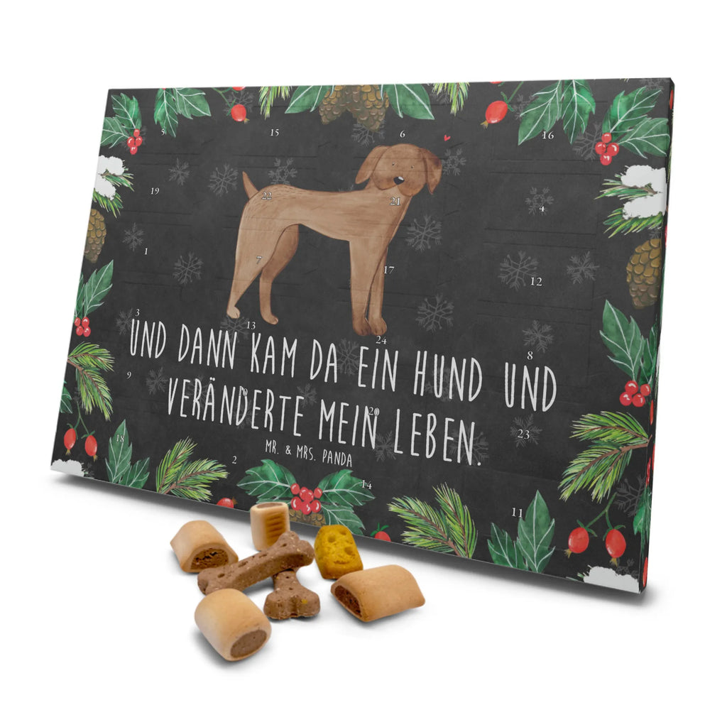 Hunde Adventskalender Hund Dogge Hunde Adventskalender, Weihnachtskalender, Kalender, Weihnachten, Adventskalender für Hunde, Hund, Hundemotiv, Haustier, Hunderasse, Tierliebhaber, Hundebesitzer, Sprüche, Hunde, Dogge, Deutsche Dogge, Great Dane