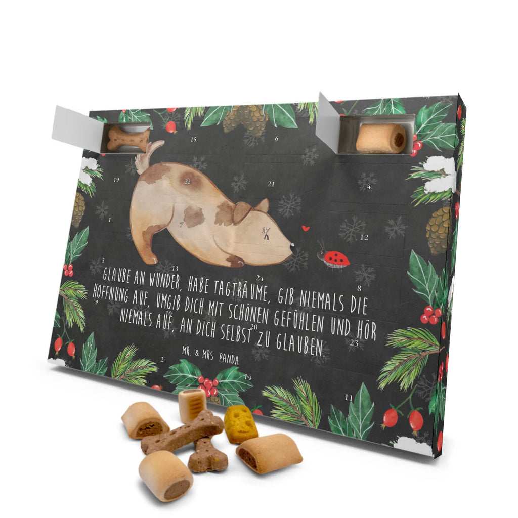 Hunde Adventskalender Hund Marienkäfer Hunde Adventskalender, Weihnachtskalender, Kalender, Weihnachten, Adventskalender für Hunde, Hund, Hundemotiv, Haustier, Hunderasse, Tierliebhaber, Hundebesitzer, Sprüche, Hunde, Hundespruch, Marienkäfer, Mischling, Mischlinghund