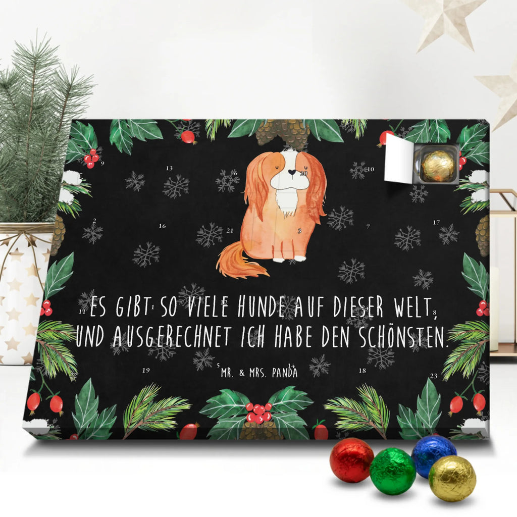 Schoko Adventskalender Hund Cavalier King Charles Spaniel Adventskalender, Schokoladen Adventskalender, Schoko Adventskalender, Hund, Hundemotiv, Haustier, Hunderasse, Tierliebhaber, Hundebesitzer, Sprüche, Cavalier King Charles Spaniel, Cockerspaniel, Spaniel, Spruch, schönster Hund