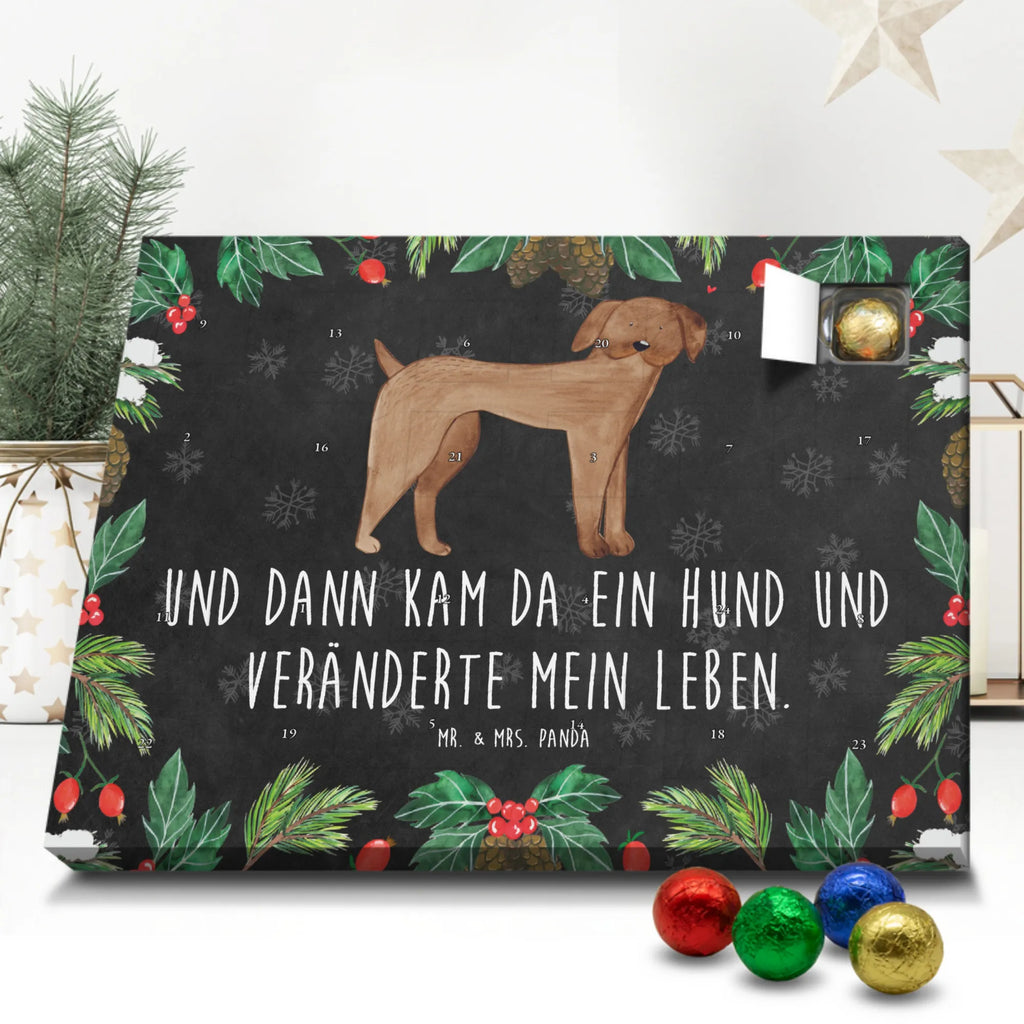 Schoko Adventskalender Hund Dogge Adventskalender, Schokoladen Adventskalender, Schoko Adventskalender, Hund, Hundemotiv, Haustier, Hunderasse, Tierliebhaber, Hundebesitzer, Sprüche, Hunde, Dogge, Deutsche Dogge, Great Dane