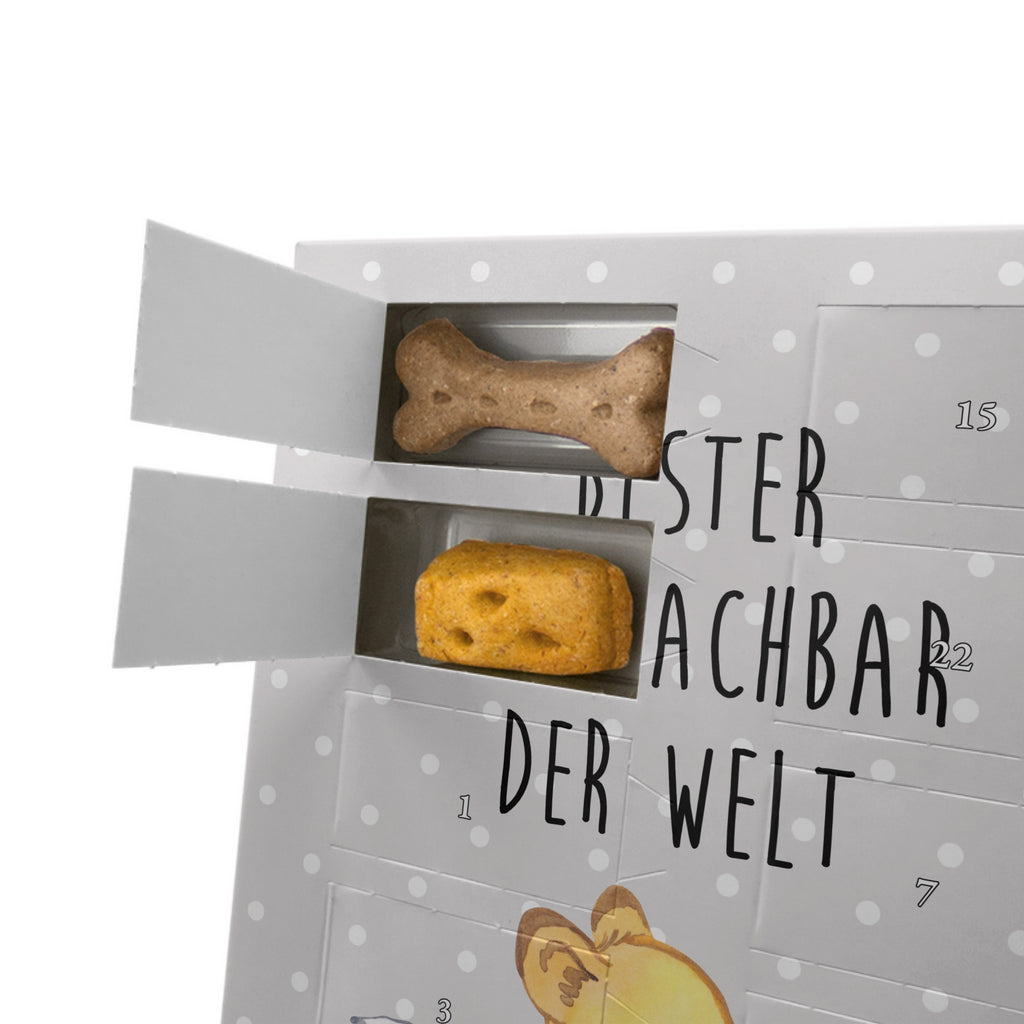 Personalisierter Hunde Foto Adventskalender Fuchs Bester Sitznachbar der Welt Hunde Adventskalender, für, Dankeschön, Geschenk, Schenken, Geburtstag, Geburtstagsgeschenk, Geschenkidee, Danke, Bedanken, Mitbringsel, Freude machen, Geschenktipp, Sitznachbar, Stuhlnachbar, Nachbar, Uni, Universität, Seminar, Kommilitone, Tischnachbar, Schule, Mitschüler, Mitstudent, Hochschule