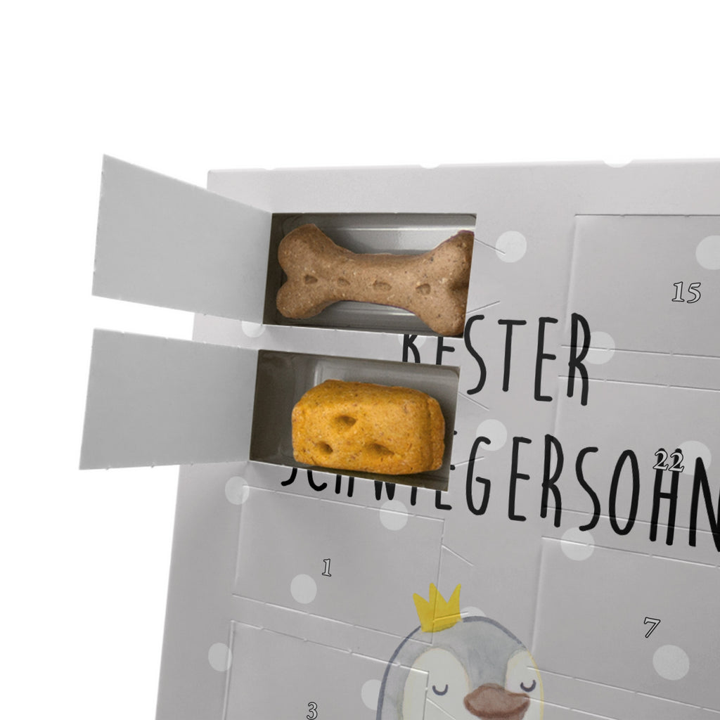 Personalisierter Hunde Foto Adventskalender Pinguin Bester Schwiegersohn Hunde Adventskalender, für, Dankeschön, Geschenk, Schenken, Geburtstag, Geburtstagsgeschenk, Geschenkidee, Danke, Bedanken, Mitbringsel, Freude machen, Geschenktipp, Schwiegersohn, Tochter, Ehefrau des Sohns, Frau, angeheiratet, Hochzeit, Heirat