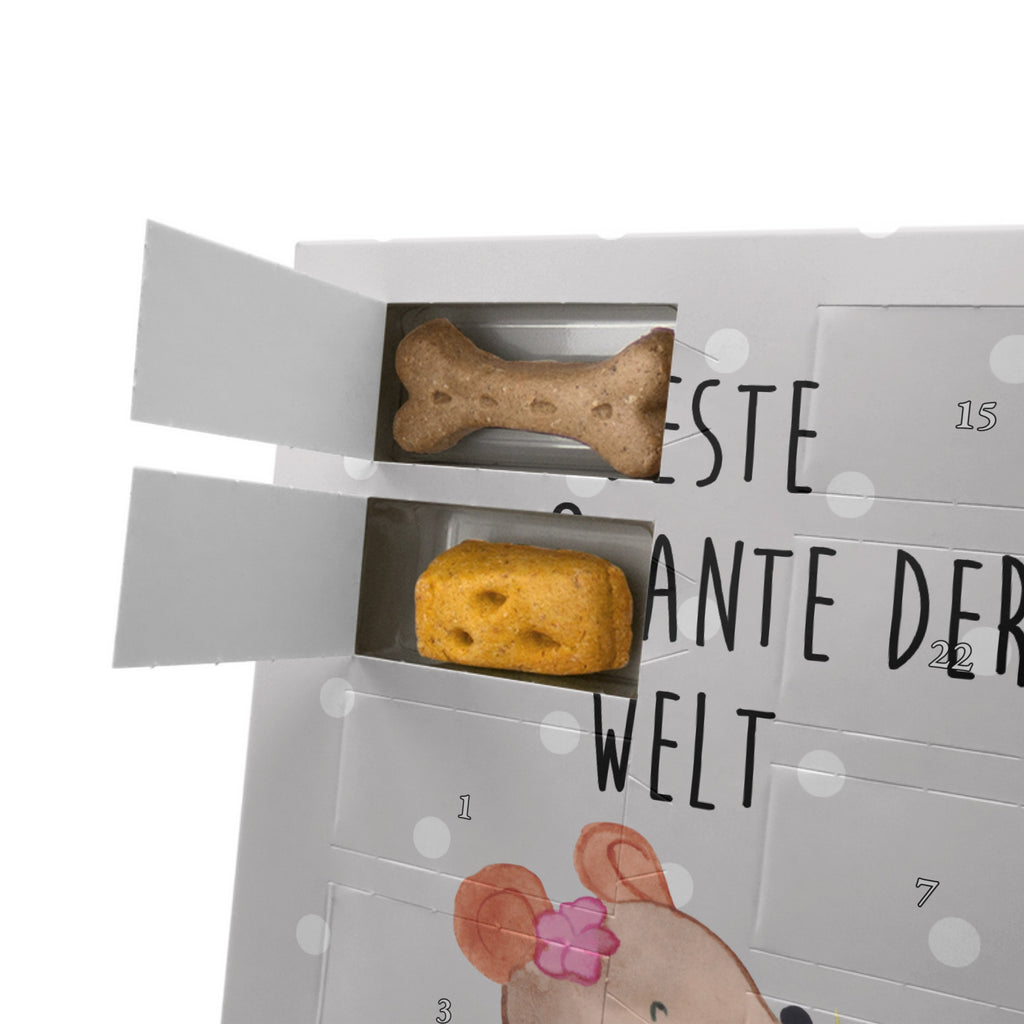 Personalisierter Hunde Foto Adventskalender Maus Beste Großtante der Welt Hunde Adventskalender, für, Dankeschön, Geschenk, Schenken, Geburtstag, Geburtstagsgeschenk, Geschenkidee, Danke, Bedanken, Mitbringsel, Freude machen, Geschenktipp, Großtante, Grosstante, Tante, Lieblingstante, Familie, Schwester, Tanten, Kleinigkeit, Beste, Nichte, Neffe, Groß