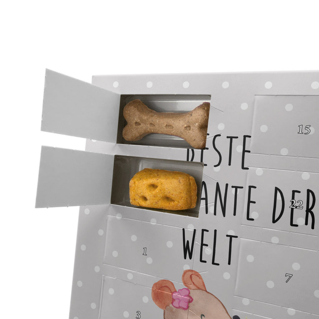 Personalisierter Hunde Foto Adventskalender Maus Beste Großtante der Welt Hunde Adventskalender, für, Dankeschön, Geschenk, Schenken, Geburtstag, Geburtstagsgeschenk, Geschenkidee, Danke, Bedanken, Mitbringsel, Freude machen, Geschenktipp, Großtante, Grosstante, Tante, Lieblingstante, Familie, Schwester, Tanten, Kleinigkeit, Beste, Nichte, Neffe, Groß