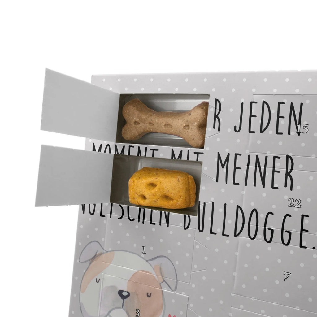 Personalisierter Hunde Foto Adventskalender Englische Bulldogge Moment Personalisierter Hunde Foto Adventskalender, Hund, Hunderasse, Rassehund, Hundebesitzer, Geschenk, Tierfreund, Schenken, Welpe, Englische Bulldogge, English Bulldog