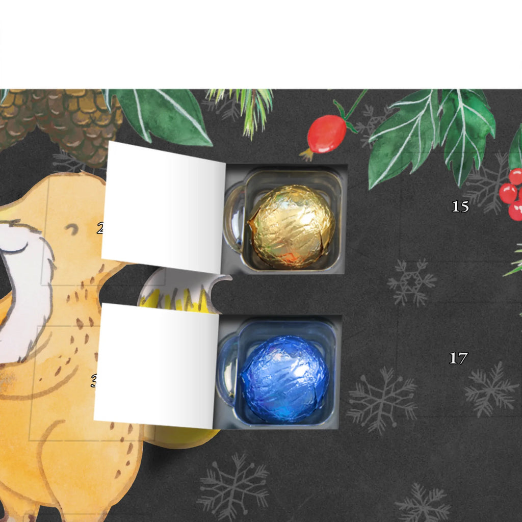 Personalisierter Schoko Adventskalender Fuchs Squash spielen Personalisierter Adventskalender, Adventskalender mit Namen, Geschenk, Sport, Sportart, Hobby, Schenken, Danke, Dankeschön, Auszeichnung, Gewinn, Sportler, Squash spielen, Squashhalle, Ballsport