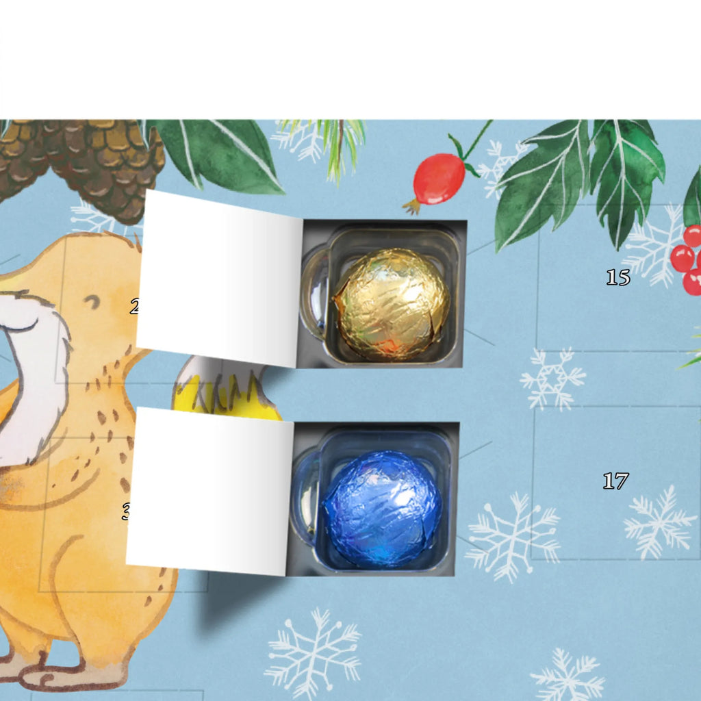 Schoko Adventskalender Fuchs Squash spielen Adventskalender, Schokoladen Adventskalender, Schoko Adventskalender, Geschenk, Sport, Sportart, Hobby, Schenken, Danke, Dankeschön, Auszeichnung, Gewinn, Sportler, Squash spielen, Squashhalle, Ballsport