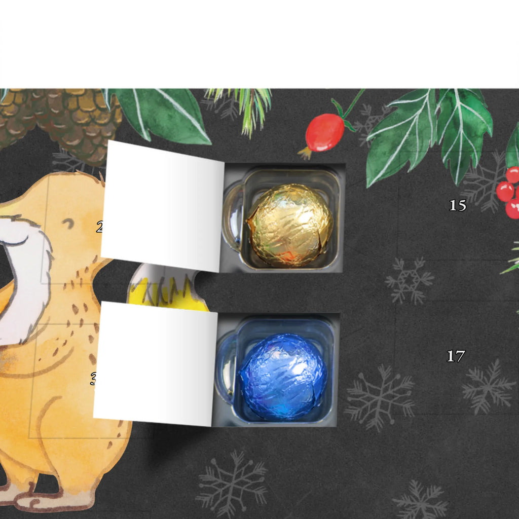 Schoko Adventskalender Fuchs Squash spielen Adventskalender, Schokoladen Adventskalender, Schoko Adventskalender, Geschenk, Sport, Sportart, Hobby, Schenken, Danke, Dankeschön, Auszeichnung, Gewinn, Sportler, Squash spielen, Squashhalle, Ballsport