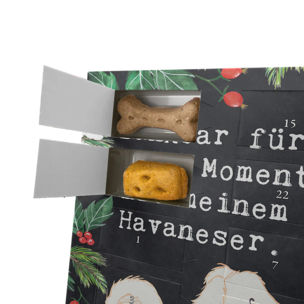 Personalisierter Hunde Foto Adventskalender Havaneser Moment Personalisierter Hunde Foto Adventskalender, Hund, Hunderasse, Rassehund, Hundebesitzer, Geschenk, Tierfreund, Schenken, Welpe, Havaneser, Havi, Bichon Havanais, Bichón Habanero