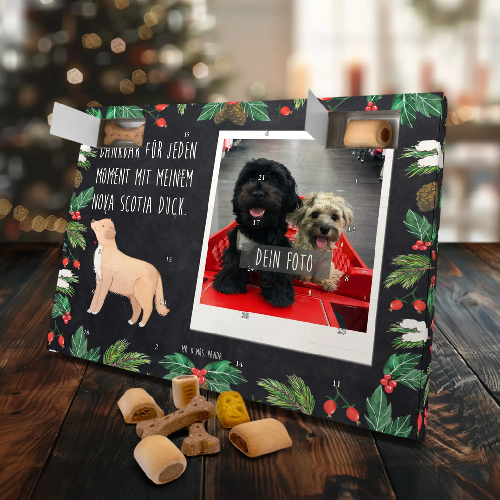 Personalisierter Hunde Foto Adventskalender Nova Scotia Duck Moment Personalisierter Hunde Foto Adventskalender, Hund, Hunderasse, Rassehund, Hundebesitzer, Geschenk, Tierfreund, Schenken, Welpe, Nova Scotia Duck Tolling Retriever, Retriever