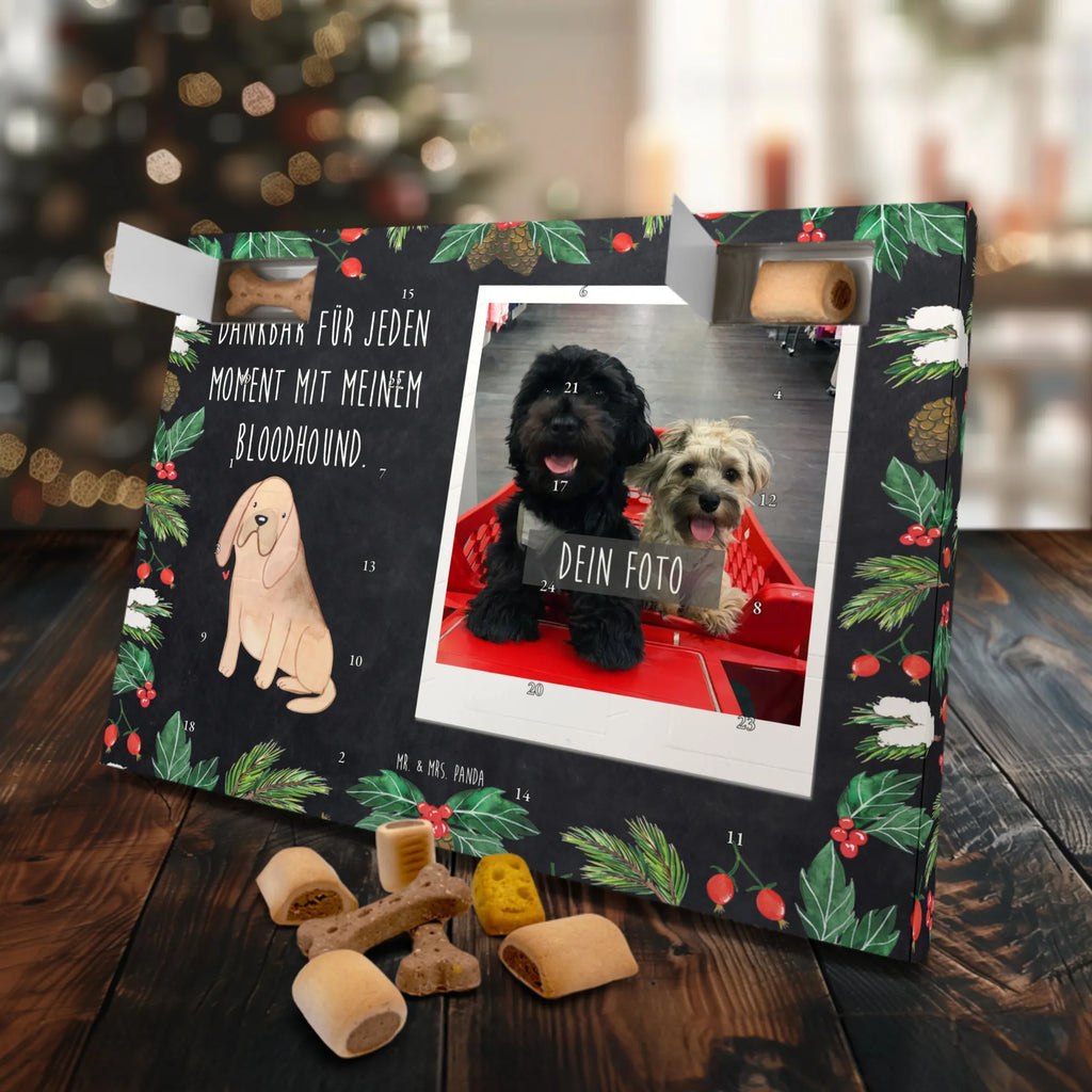 Personalisierter Hunde Foto Adventskalender Bloodhound Moment Personalisierter Hunde Foto Adventskalender, Hund, Hunderasse, Rassehund, Hundebesitzer, Geschenk, Tierfreund, Schenken, Welpe, Bluthund, Bloodhound, St. Hubertushund, Chien de Saint Hubert