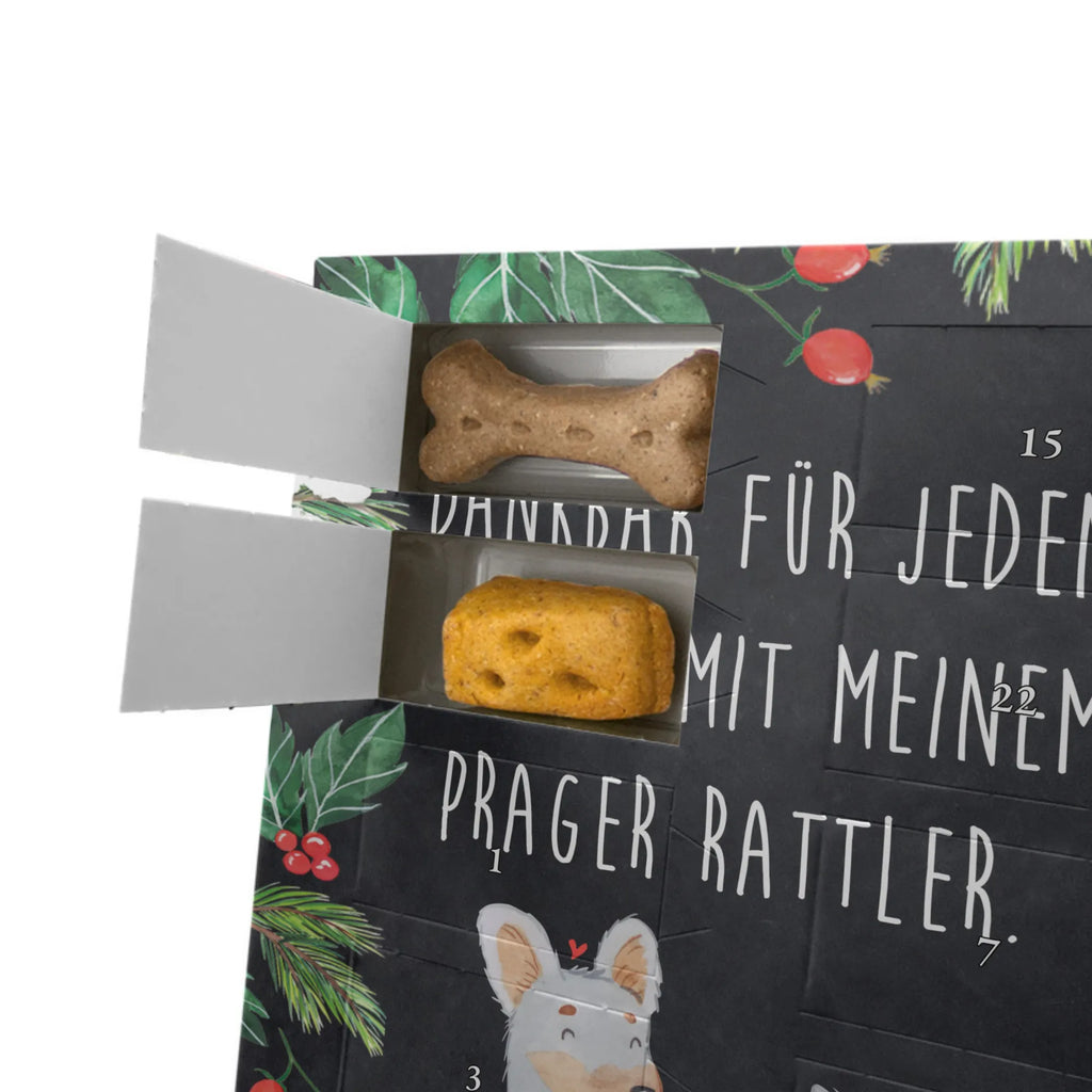 Personalisierter Hunde Foto Adventskalender Prager Rattler Moment Personalisierter Hunde Foto Adventskalender, Hund, Hunderasse, Rassehund, Hundebesitzer, Geschenk, Tierfreund, Schenken, Welpe, Pincher, Prager Rattler