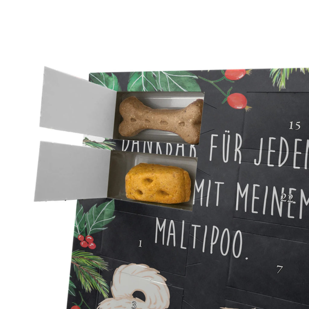 Personalisierter Hunde Foto Adventskalender Maltipoo Moment Personalisierter Hunde Foto Adventskalender, Hund, Hunderasse, Rassehund, Hundebesitzer, Geschenk, Tierfreund, Schenken, Welpe, Maltipoo, Kreuzung, Mischling