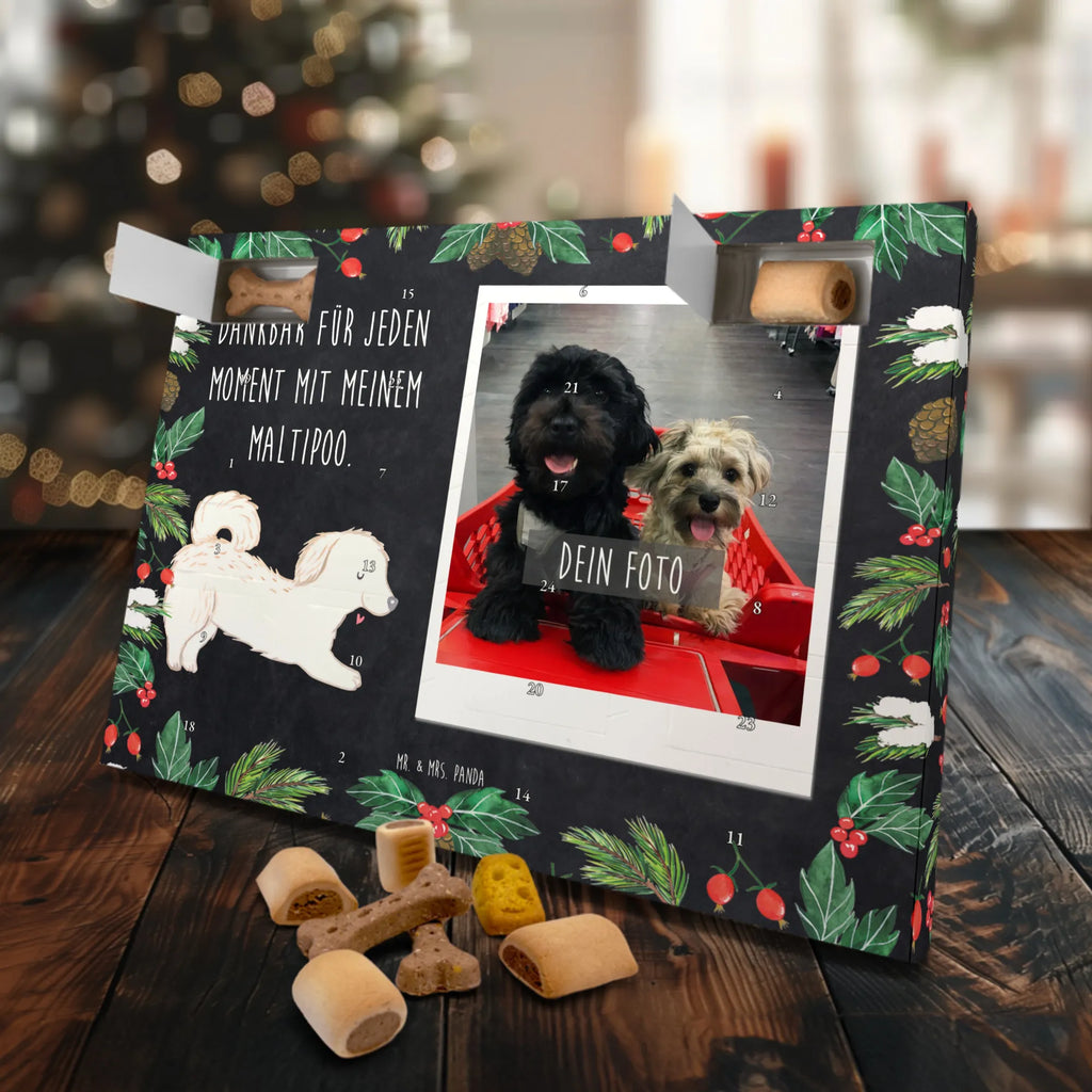 Personalisierter Hunde Foto Adventskalender Maltipoo Moment Personalisierter Hunde Foto Adventskalender, Hund, Hunderasse, Rassehund, Hundebesitzer, Geschenk, Tierfreund, Schenken, Welpe, Maltipoo, Kreuzung, Mischling