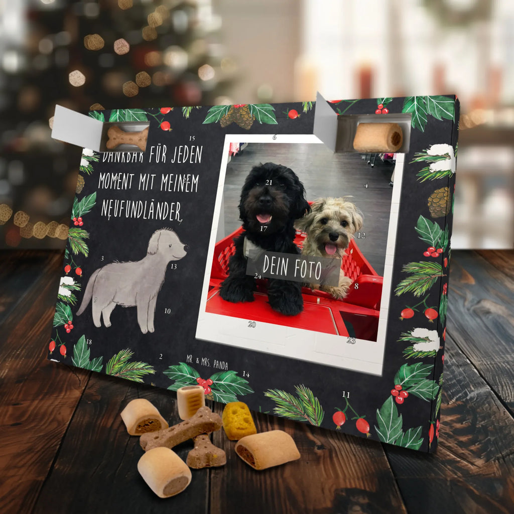 Personalisierter Hunde Foto Adventskalender Neufundländer Moment Personalisierter Hunde Foto Adventskalender, Hund, Hunderasse, Rassehund, Hundebesitzer, Geschenk, Tierfreund, Schenken, Welpe, Neufundländer, Newfoundland