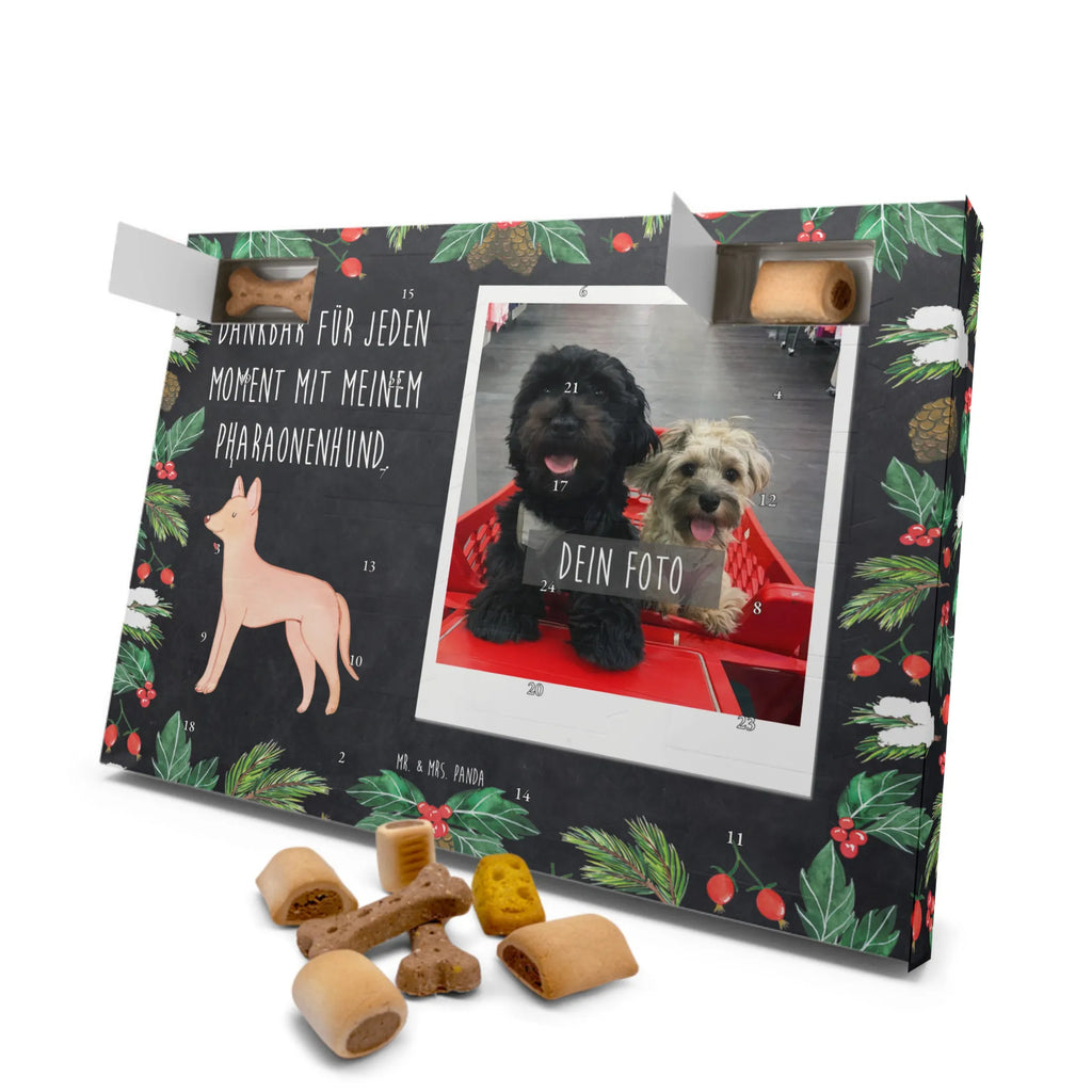 Personalisierter Hunde Foto Adventskalender Pharaonenhund Moment Personalisierter Hunde Foto Adventskalender, Hund, Hunderasse, Rassehund, Hundebesitzer, Geschenk, Tierfreund, Schenken, Welpe, Pharaonenhund, Pharaoh Hound, Kelb tal-Fenek