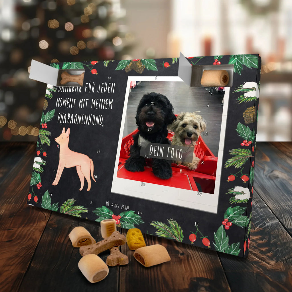 Personalisierter Hunde Foto Adventskalender Pharaonenhund Moment Personalisierter Hunde Foto Adventskalender, Hund, Hunderasse, Rassehund, Hundebesitzer, Geschenk, Tierfreund, Schenken, Welpe, Pharaonenhund, Pharaoh Hound, Kelb tal-Fenek