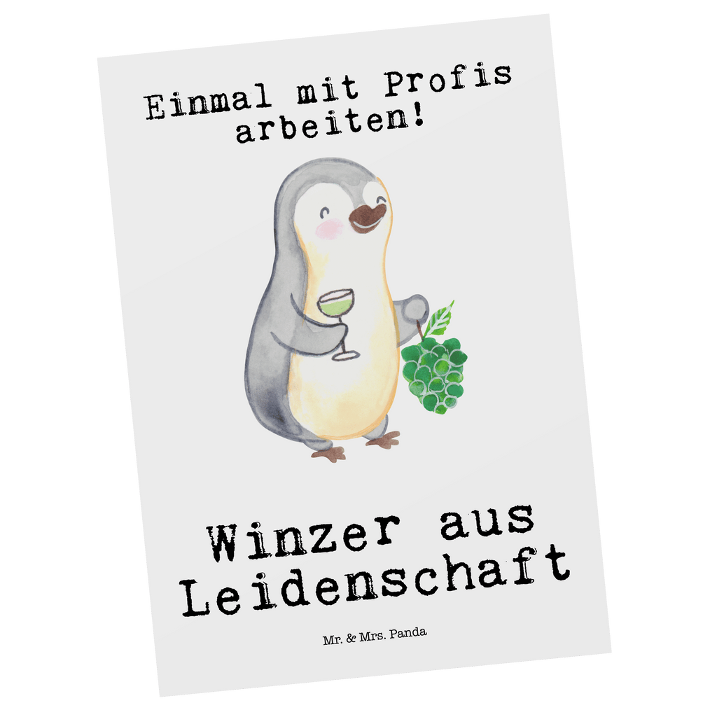 Postkarte Winzer aus Leidenschaft Postkarte, Karte, Geschenkkarte, Grußkarte, Einladung, Ansichtskarte, Geburtstagskarte, Einladungskarte, Dankeskarte, Ansichtskarten, Einladung Geburtstag, Einladungskarten Geburtstag, Beruf, Ausbildung, Jubiläum, Abschied, Rente, Kollege, Kollegin, Geschenk, Schenken, Arbeitskollege, Mitarbeiter, Firma, Danke, Dankeschön