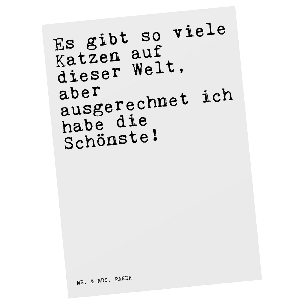 Postkarte Sprüche und Zitate Es gibt so viele Katzen auf dieser Welt, aber ausgerechnet ich habe die Schönste! Postkarte, Karte, Geschenkkarte, Grußkarte, Einladung, Ansichtskarte, Geburtstagskarte, Einladungskarte, Dankeskarte, Ansichtskarten, Einladung Geburtstag, Einladungskarten Geburtstag, Spruch, Sprüche, lustige Sprüche, Weisheiten, Zitate, Spruch Geschenke, Spruch Sprüche Weisheiten Zitate Lustig Weisheit Worte