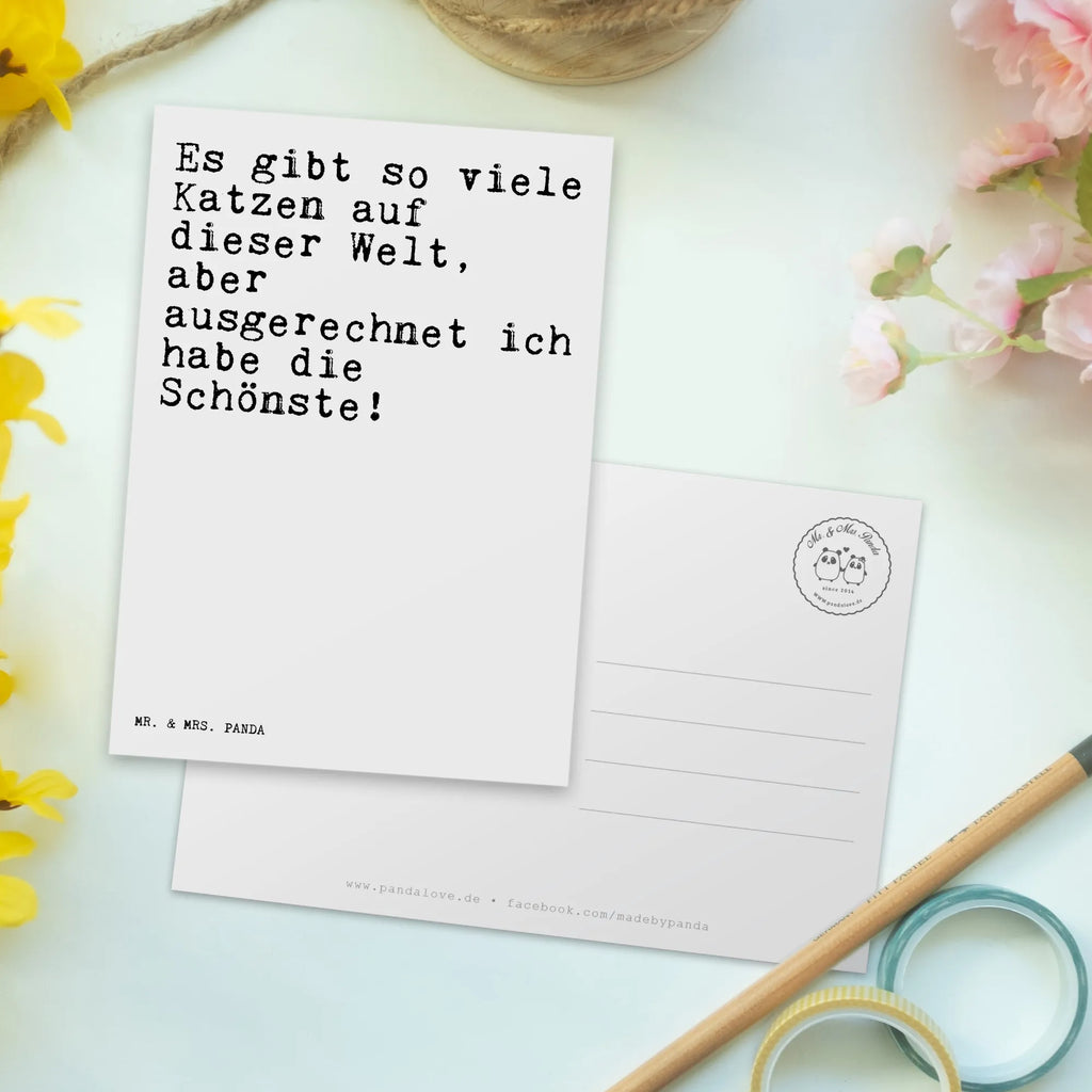 Postkarte Sprüche und Zitate Es gibt so viele Katzen auf dieser Welt, aber ausgerechnet ich habe die Schönste! Postkarte, Karte, Geschenkkarte, Grußkarte, Einladung, Ansichtskarte, Geburtstagskarte, Einladungskarte, Dankeskarte, Ansichtskarten, Einladung Geburtstag, Einladungskarten Geburtstag, Spruch, Sprüche, lustige Sprüche, Weisheiten, Zitate, Spruch Geschenke, Spruch Sprüche Weisheiten Zitate Lustig Weisheit Worte