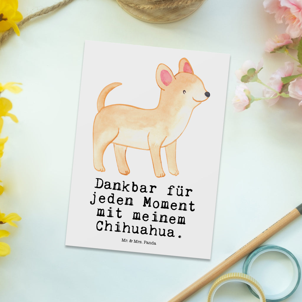 Postkarte Chihuahua Moment Postkarte, Karte, Geschenkkarte, Grußkarte, Einladung, Ansichtskarte, Geburtstagskarte, Einladungskarte, Dankeskarte, Ansichtskarten, Einladung Geburtstag, Einladungskarten Geburtstag, Hund, Hunderasse, Rassehund, Hundebesitzer, Geschenk, Tierfreund, Schenken, Welpe, Chihuahua