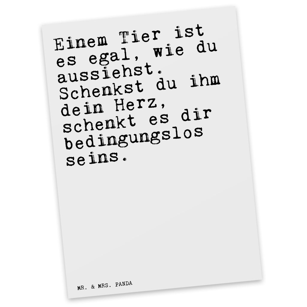 Postkarte Einem Tier ist es... Postkarte, Karte, Geschenkkarte, Grußkarte, Einladung, Ansichtskarte, Geburtstagskarte, Einladungskarte, Dankeskarte, Ansichtskarten, Einladung Geburtstag, Einladungskarten Geburtstag, Spruch, Sprüche, lustige Sprüche, Weisheiten, Zitate, Spruch Geschenke, Spruch Sprüche Weisheiten Zitate Lustig Weisheit Worte