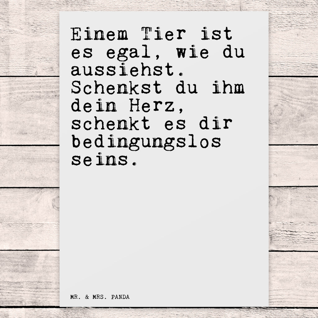 Postkarte Einem Tier ist es... Postkarte, Karte, Geschenkkarte, Grußkarte, Einladung, Ansichtskarte, Geburtstagskarte, Einladungskarte, Dankeskarte, Ansichtskarten, Einladung Geburtstag, Einladungskarten Geburtstag, Spruch, Sprüche, lustige Sprüche, Weisheiten, Zitate, Spruch Geschenke, Spruch Sprüche Weisheiten Zitate Lustig Weisheit Worte