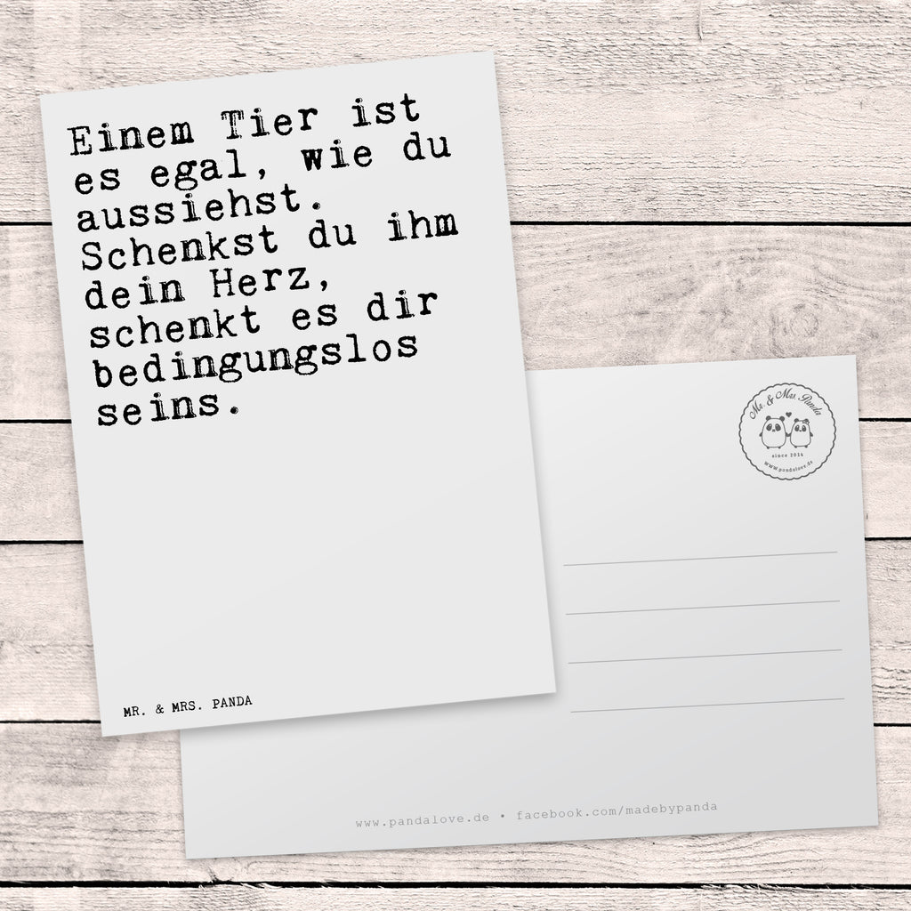 Postkarte Einem Tier ist es... Postkarte, Karte, Geschenkkarte, Grußkarte, Einladung, Ansichtskarte, Geburtstagskarte, Einladungskarte, Dankeskarte, Ansichtskarten, Einladung Geburtstag, Einladungskarten Geburtstag, Spruch, Sprüche, lustige Sprüche, Weisheiten, Zitate, Spruch Geschenke, Spruch Sprüche Weisheiten Zitate Lustig Weisheit Worte