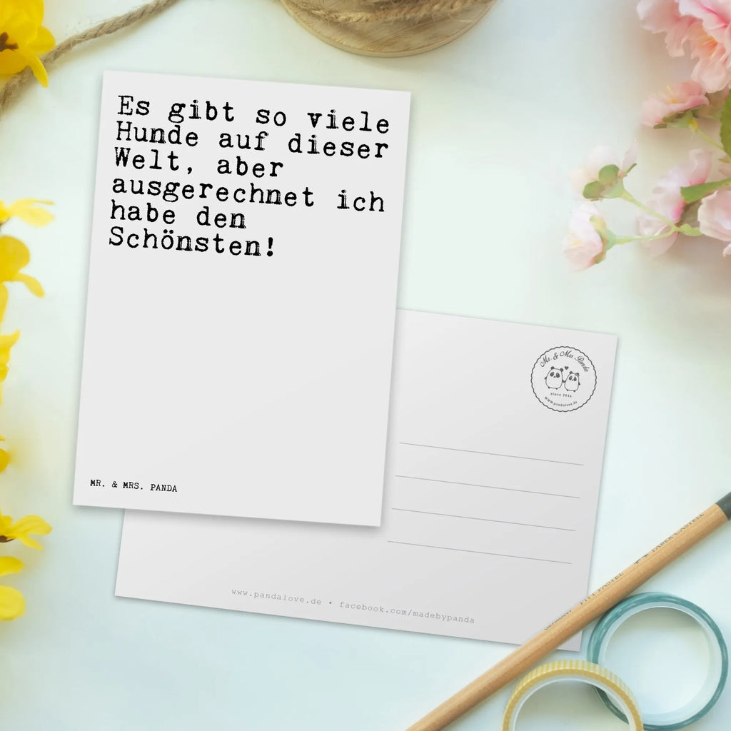 Postkarte Sprüche und Zitate Es gibt so viele Hunde auf dieser Welt, aber ausgerechnet ich habe den Schönsten! Postkarte, Karte, Geschenkkarte, Grußkarte, Einladung, Ansichtskarte, Geburtstagskarte, Einladungskarte, Dankeskarte, Ansichtskarten, Einladung Geburtstag, Einladungskarten Geburtstag, Spruch, Sprüche, lustige Sprüche, Weisheiten, Zitate, Spruch Geschenke, Spruch Sprüche Weisheiten Zitate Lustig Weisheit Worte