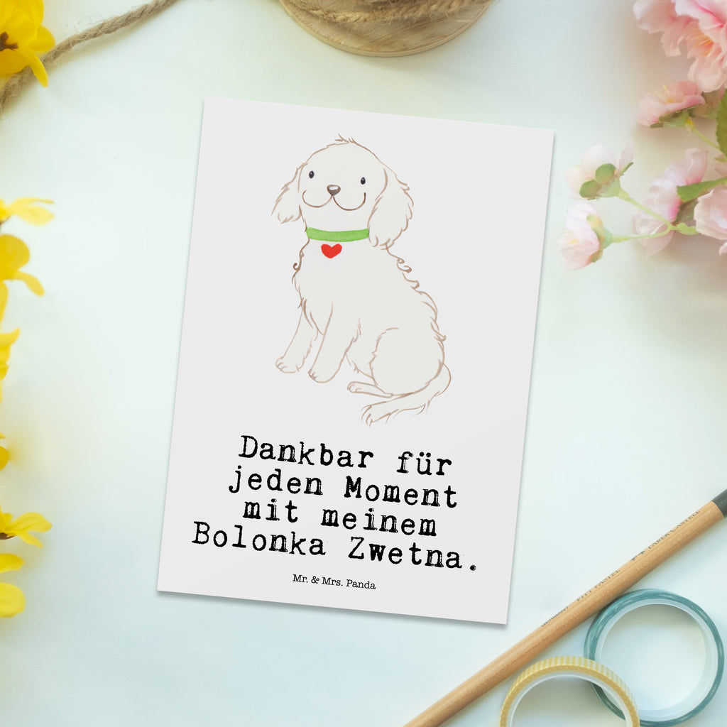 Postkarte Bolonka Zwetna Moment Postkarte, Karte, Geschenkkarte, Grußkarte, Einladung, Ansichtskarte, Geburtstagskarte, Einladungskarte, Dankeskarte, Ansichtskarten, Einladung Geburtstag, Einladungskarten Geburtstag, Hund, Hunderasse, Rassehund, Hundebesitzer, Geschenk, Tierfreund, Schenken, Welpe, Bolonka Zwetna, Tsvetnaya Bolonka