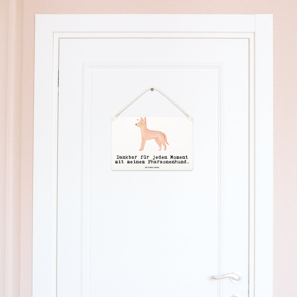 Deko Schild Pharaonenhund Moment Dekoschild, Deko Schild, Schild, Tür Schild, Türschild, Holzschild, Wandschild, Wanddeko, Hund, Hunderasse, Rassehund, Hundebesitzer, Geschenk, Tierfreund, Schenken, Welpe, Pharaonenhund, Pharaoh Hound, Kelb tal-Fenek