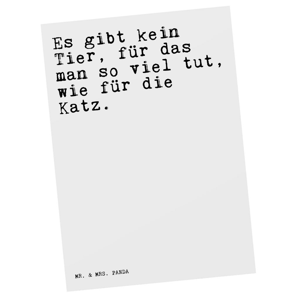 Postkarte Sprüche und Zitate Es gibt kein Tier, für das man so viel tut, wie für die Katz. Postkarte, Karte, Geschenkkarte, Grußkarte, Einladung, Ansichtskarte, Geburtstagskarte, Einladungskarte, Dankeskarte, Ansichtskarten, Einladung Geburtstag, Einladungskarten Geburtstag, Spruch, Sprüche, lustige Sprüche, Weisheiten, Zitate, Spruch Geschenke, Spruch Sprüche Weisheiten Zitate Lustig Weisheit Worte