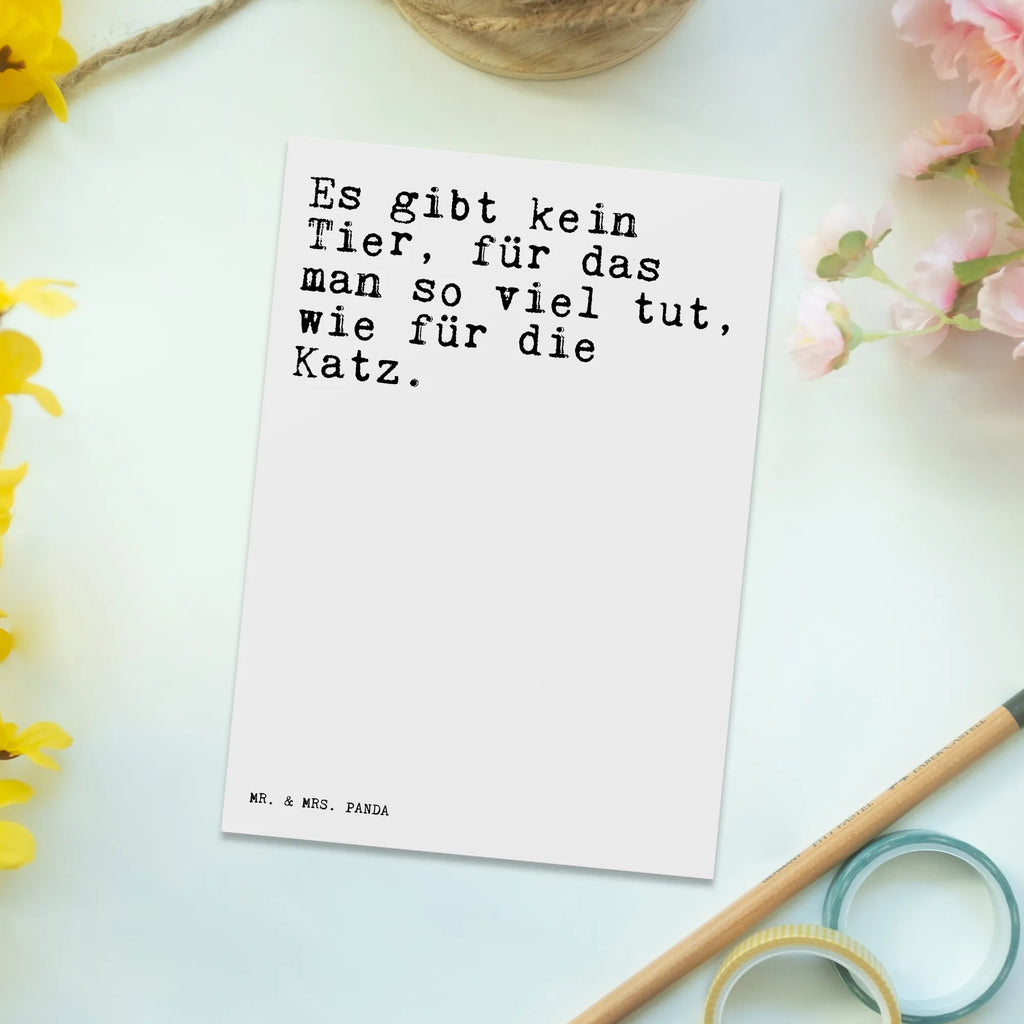 Postkarte Sprüche und Zitate Es gibt kein Tier, für das man so viel tut, wie für die Katz. Postkarte, Karte, Geschenkkarte, Grußkarte, Einladung, Ansichtskarte, Geburtstagskarte, Einladungskarte, Dankeskarte, Ansichtskarten, Einladung Geburtstag, Einladungskarten Geburtstag, Spruch, Sprüche, lustige Sprüche, Weisheiten, Zitate, Spruch Geschenke, Spruch Sprüche Weisheiten Zitate Lustig Weisheit Worte