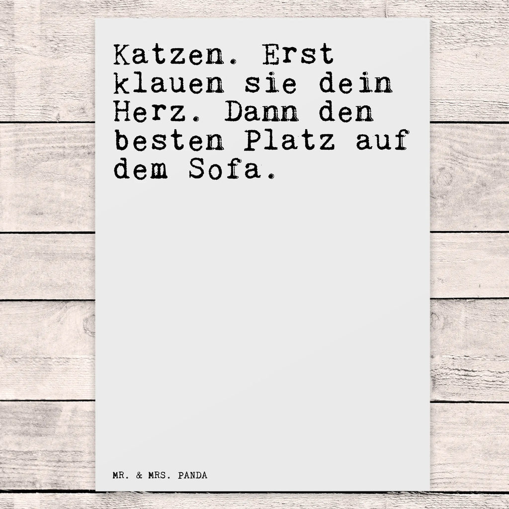 Postkarte Sprüche und Zitate Katzen. Erst klauen sie dein Herz. Dann den besten Platz auf dem Sofa. Postkarte, Karte, Geschenkkarte, Grußkarte, Einladung, Ansichtskarte, Geburtstagskarte, Einladungskarte, Dankeskarte, Ansichtskarten, Einladung Geburtstag, Einladungskarten Geburtstag, Spruch, Sprüche, lustige Sprüche, Weisheiten, Zitate, Spruch Geschenke, Spruch Sprüche Weisheiten Zitate Lustig Weisheit Worte