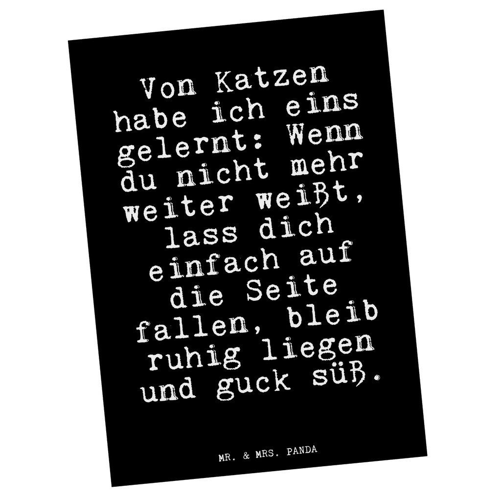 Postkarte Von Katzen habe ich... Postkarte, Karte, Geschenkkarte, Grußkarte, Einladung, Ansichtskarte, Geburtstagskarte, Einladungskarte, Dankeskarte, Ansichtskarten, Einladung Geburtstag, Einladungskarten Geburtstag, Spruch, Sprüche, lustige Sprüche, Weisheiten, Zitate, Spruch Geschenke, Glizer Spruch Sprüche Weisheiten Zitate Lustig Weisheit Worte