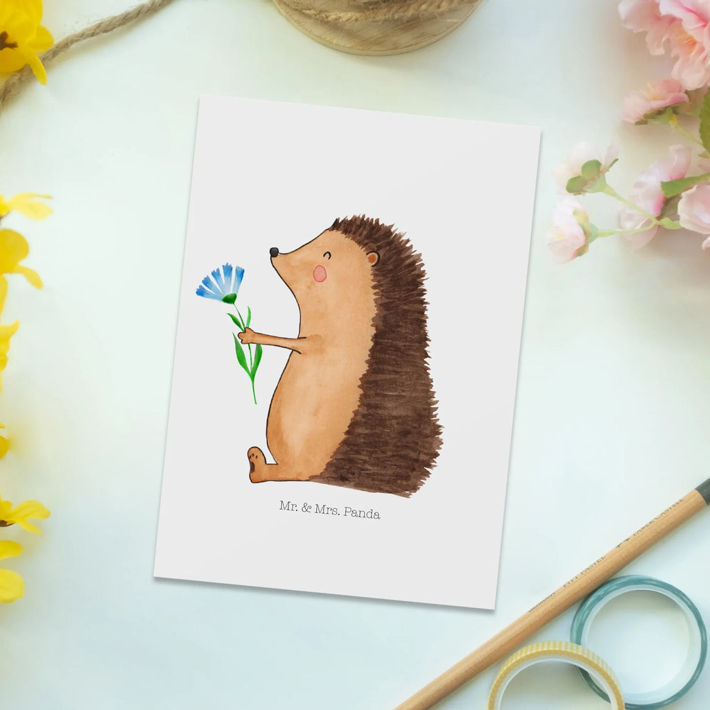 Postkarte Igel Blumen Postkarte, Karte, Geschenkkarte, Grußkarte, Einladung, Ansichtskarte, Geburtstagskarte, Einladungskarte, Dankeskarte, Ansichtskarten, Einladung Geburtstag, Einladungskarten Geburtstag, Tiermotive, Gute Laune, lustige Sprüche, Tiere, Igel, Gute Besserung, Genesungswünsche, Krankheit, Krankenhaus, krank, Besuch