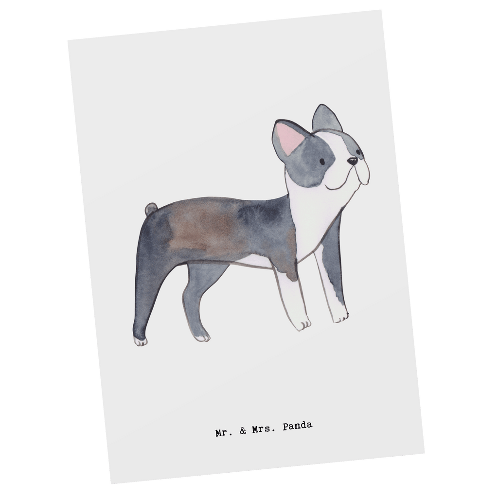 Postkarte Boston Terrier Lebensretter Postkarte, Karte, Geschenkkarte, Grußkarte, Einladung, Ansichtskarte, Geburtstagskarte, Einladungskarte, Dankeskarte, Ansichtskarten, Einladung Geburtstag, Einladungskarten Geburtstag, Hund, Hunderasse, Rassehund, Hundebesitzer, Geschenk, Tierfreund, Schenken, Welpe, Boston Terrier