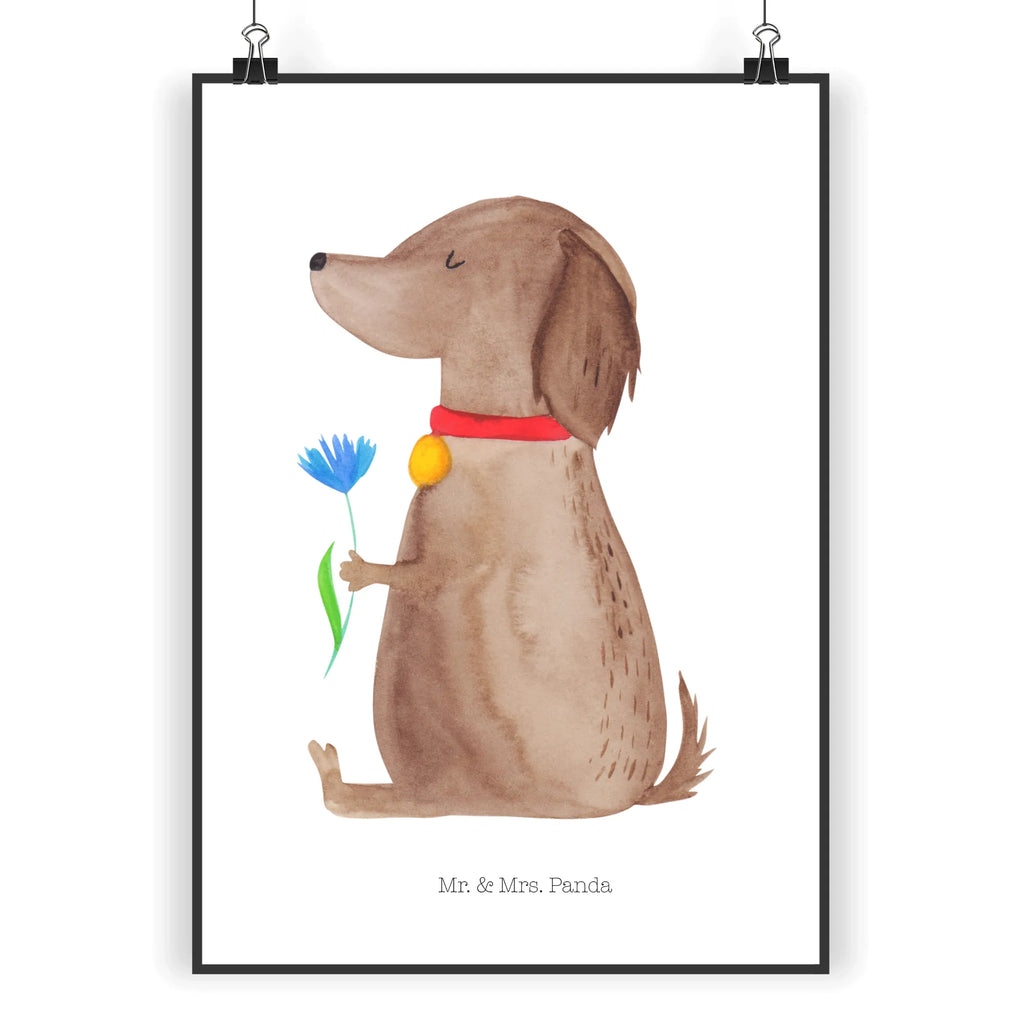 Poster Hund Blume Poster, Wandposter, Bild, Wanddeko, Küchenposter, Kinderposter, Wanddeko Bild, Raumdekoration, Wanddekoration, Handgemaltes Poster, Mr. & Mrs. Panda Poster, Designposter, Kunstdruck, Posterdruck, Hund, Hundemotiv, Haustier, Hunderasse, Tierliebhaber, Hundebesitzer, Sprüche, Hunde, Frauchen, Hundeliebe