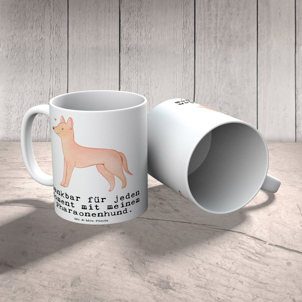 Tasse Pharaonenhund Moment Tasse, Kaffeetasse, Teetasse, Becher, Kaffeebecher, Teebecher, Keramiktasse, Porzellantasse, Büro Tasse, Geschenk Tasse, Tasse Sprüche, Tasse Motive, Kaffeetassen, Tasse bedrucken, Designer Tasse, Cappuccino Tassen, Schöne Teetassen, Hund, Hunderasse, Rassehund, Hundebesitzer, Geschenk, Tierfreund, Schenken, Welpe, Pharaonenhund, Pharaoh Hound, Kelb tal-Fenek