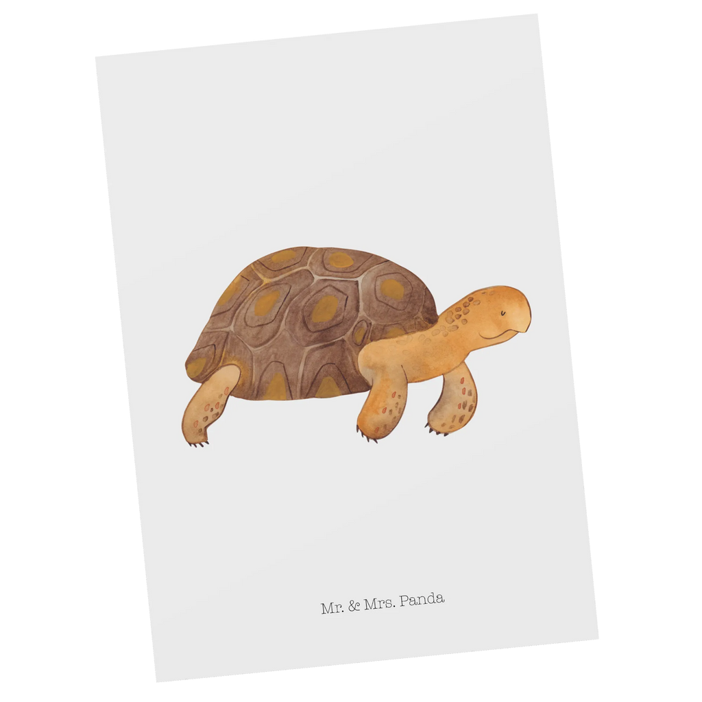 Postkarte Schildkröte Marschieren Postkarte, Karte, Geschenkkarte, Grußkarte, Einladung, Ansichtskarte, Geburtstagskarte, Einladungskarte, Dankeskarte, Ansichtskarten, Einladung Geburtstag, Einladungskarten Geburtstag, Meerestiere, Meer, Urlaub, Schildkröte, Schildkröten, get lost, Abenteuer, Reiselust, Inspiration, Neustart, Motivation, Lieblingsmensch