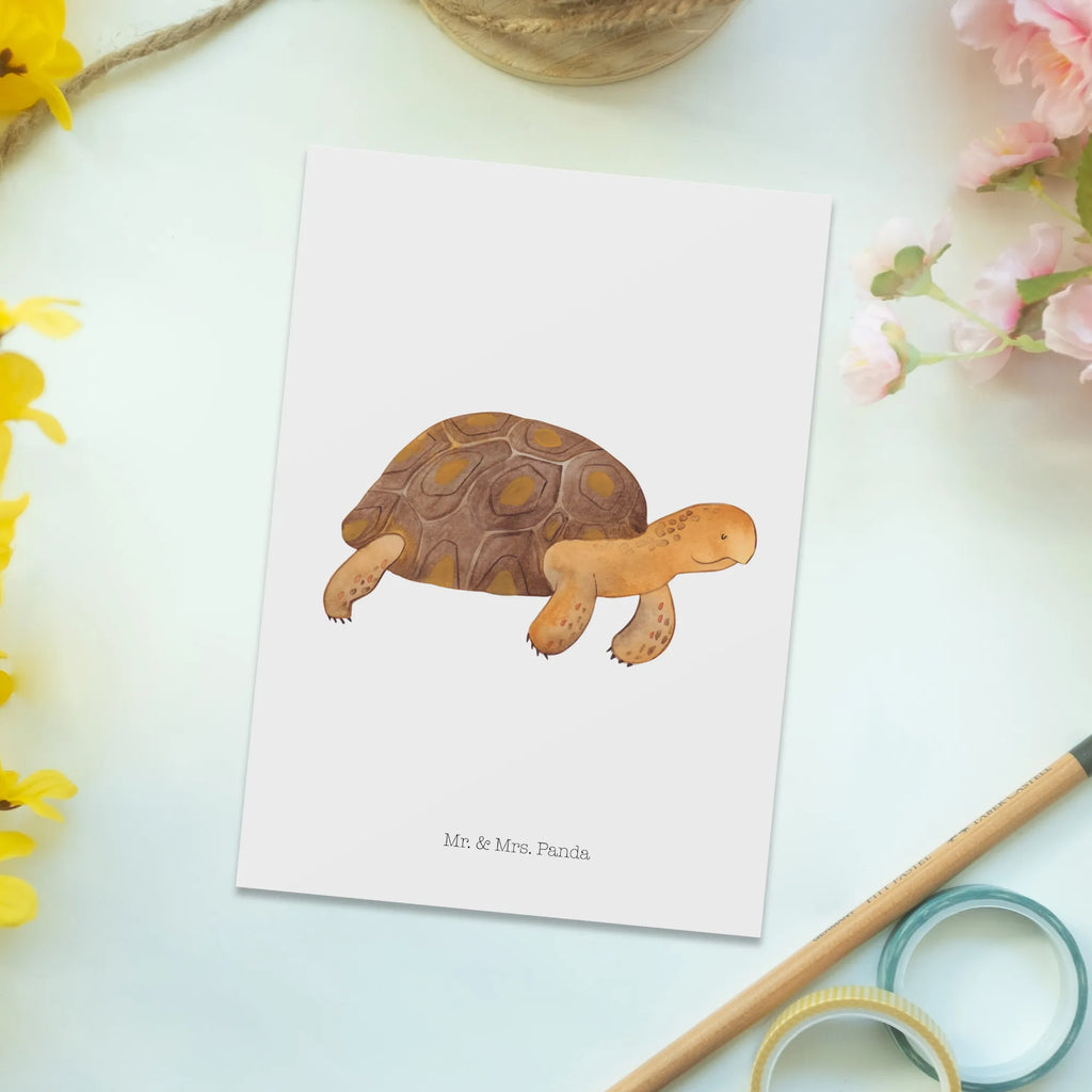 Postkarte Schildkröte Marschieren Postkarte, Karte, Geschenkkarte, Grußkarte, Einladung, Ansichtskarte, Geburtstagskarte, Einladungskarte, Dankeskarte, Ansichtskarten, Einladung Geburtstag, Einladungskarten Geburtstag, Meerestiere, Meer, Urlaub, Schildkröte, Schildkröten, get lost, Abenteuer, Reiselust, Inspiration, Neustart, Motivation, Lieblingsmensch