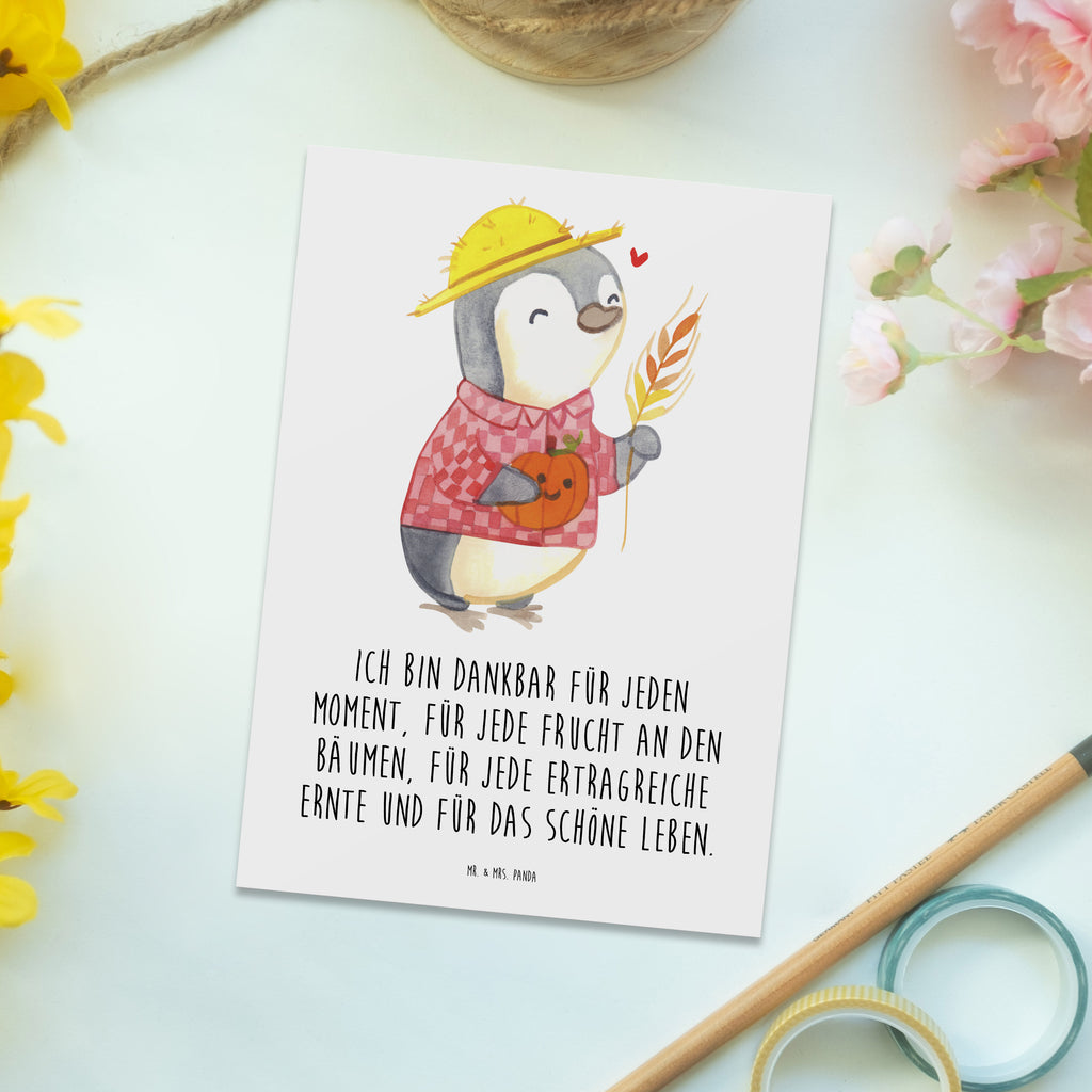 Postkarte Erntedankfest Pinguin Postkarte, Karte, Geschenkkarte, Grußkarte, Einladung, Ansichtskarte, Geburtstagskarte, Einladungskarte, Dankeskarte, Ansichtskarten, Einladung Geburtstag, Einladungskarten Geburtstag, Erntedank, Erntedankfest, Erntedank Kindergarten, Erntedankspruch, Erntedank Sprüche, Erntedankfest deko, Erntedank Deko, Erntedank mit Kindern, Thanksgiving, Kürbis, Dankbarkeits Spruch, Herbst Motiv