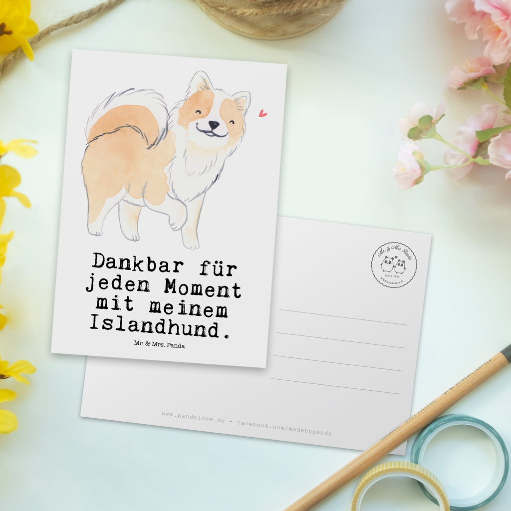Postkarte Islandhund Moment Postkarte, Karte, Geschenkkarte, Grußkarte, Einladung, Ansichtskarte, Geburtstagskarte, Einladungskarte, Dankeskarte, Ansichtskarten, Einladung Geburtstag, Einladungskarten Geburtstag, Hund, Hunderasse, Rassehund, Hundebesitzer, Geschenk, Tierfreund, Schenken, Welpe, Islandhund, isländischer Schäferhund