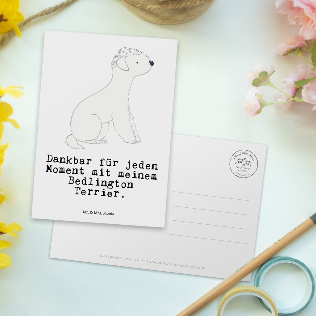 Postkarte Bedlington Terrier Moment Postkarte, Karte, Geschenkkarte, Grußkarte, Einladung, Ansichtskarte, Geburtstagskarte, Einladungskarte, Dankeskarte, Ansichtskarten, Einladung Geburtstag, Einladungskarten Geburtstag, Hund, Hunderasse, Rassehund, Hundebesitzer, Geschenk, Tierfreund, Schenken, Welpe, Bedlington Terrier, Terrier